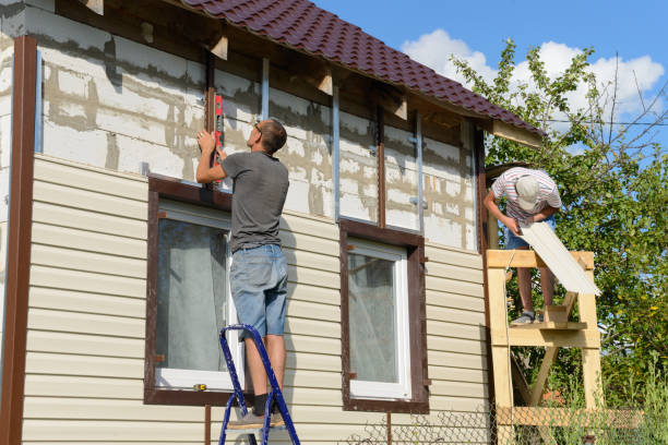 Affordable Siding Repair and Maintenance Services in Valley Park, MO