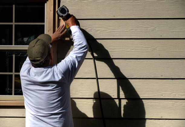 Best Vinyl Siding Installation  in Valley Park, MO